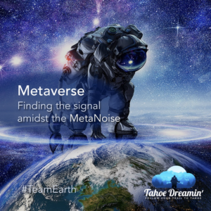 Metaverse, Finding the signal amidst the MetaNoise